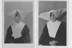 Prefessores-1954-003-001